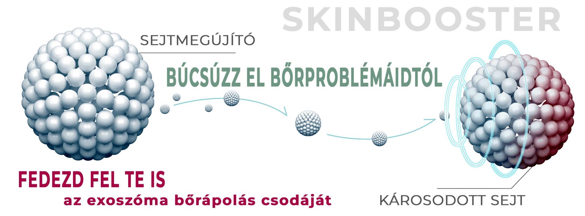 skinbooster