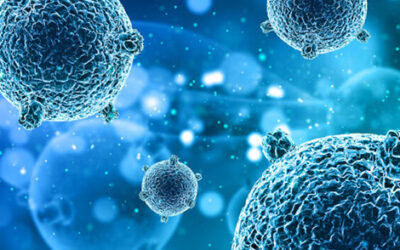 Immunerősítés